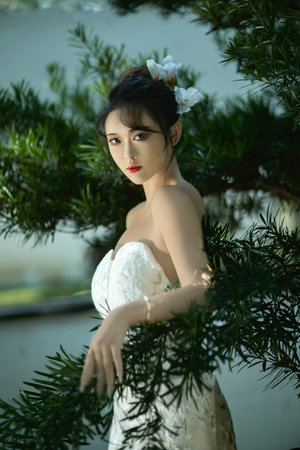 星球大战在线观看