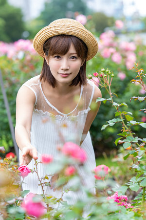 美国姑娘免费观看电视连续剧