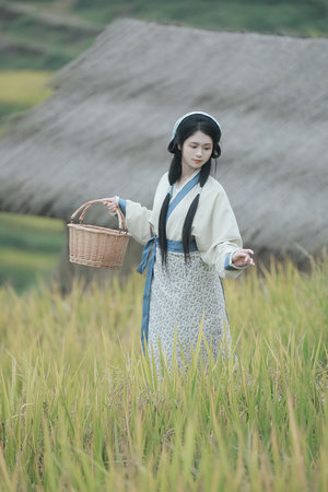 乳语翻译动漫樱花免费观看