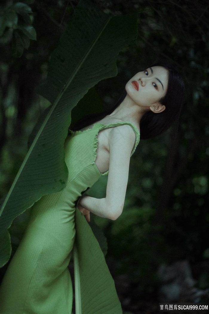 西西里的美丽传说完整版在哪看